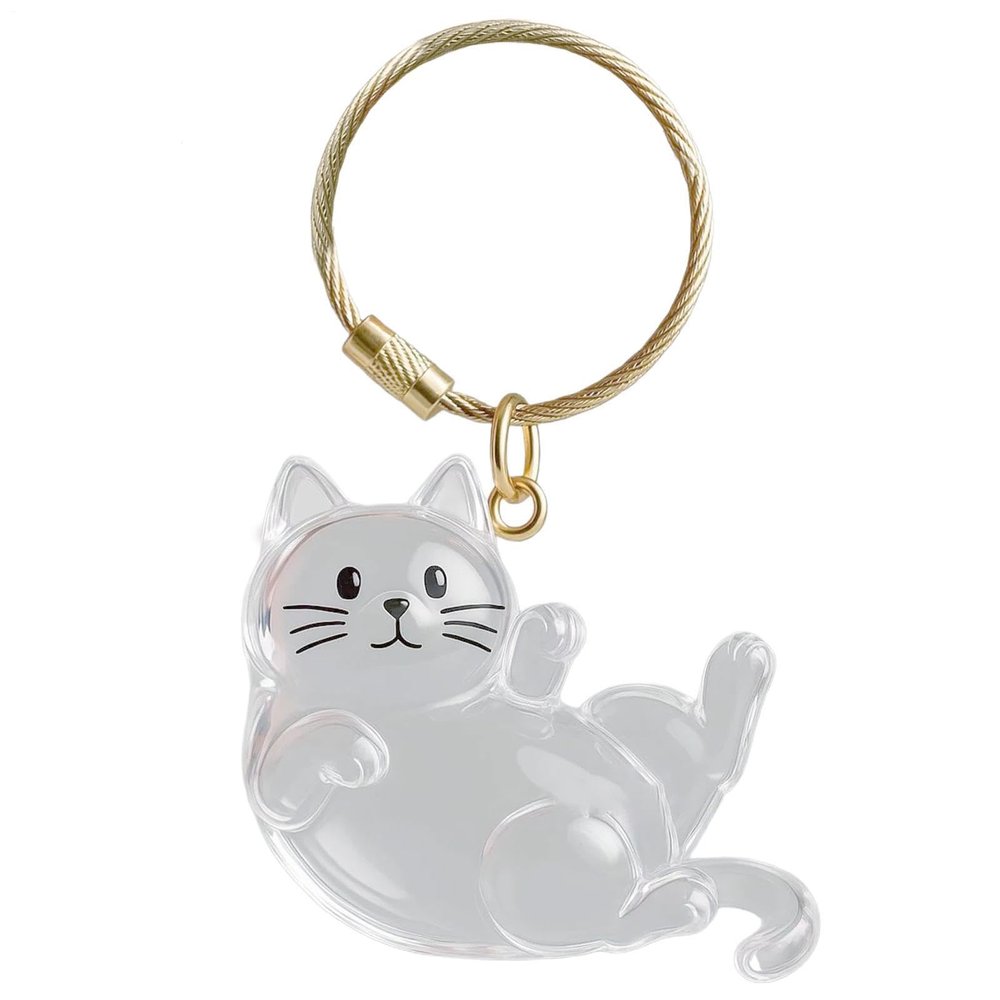Generic Dog Hair Collector Keychain