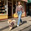 Puppy Shirt, Striped Collared Top, Breathable Pet Clothing view 2