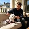 Puppy Shirt, Striped Collared Top, Breathable Pet Clothing view 3