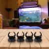 Suction Cups for Aquarium Heater, 4/8 Replacement Clips view 4