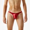 Generic 2026 Men's Silky Transparent Ultra-Thin Low-Waist Thong Underwear, Red, XL view 2
