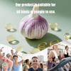 Garlic Extract - Non-GMO, All-Natural Support for Inner Health view 4