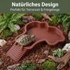 Tortoise Water Dish with Ramp, Brown-Red, External Ramp view 2