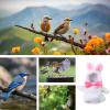 Bird Outfit - Windproof Clothing view 4