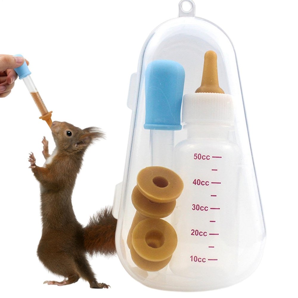 Generico Kitten Bottle Set