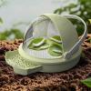 DimyFew Silkworm Breeding Box, Green view 4
