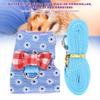 AlpenLife Basics Rabbit Harness and Leash Set view 3