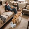 Leak-Proof 3 L Water Bowl for Dogs with Non-Slip Stainless Steel Bowl view 2