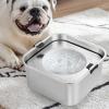 Slow-Drinking Water Bowl for Dogs, 3 L, Spill-Proof, Non-Slip Stainless Steel view 3
