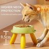 Elevated Cat Bowl - Non-Slip Stable Feeding Station view 2