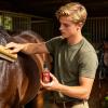 Horse Hair Shine - 30 ml Horse Coat Conditioner view 2
