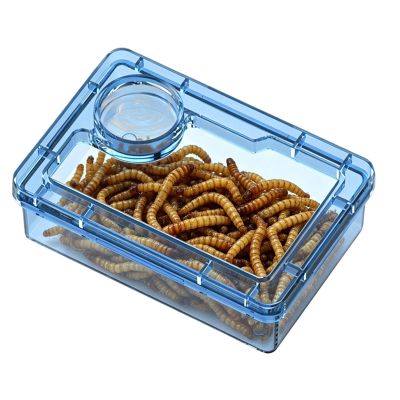 Fbinys Gecko Feeding Bowl - Escape-Proof with Food Divider