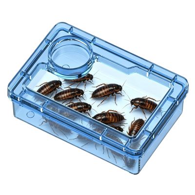 Reptile Feeding Bowl