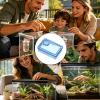 Generic Transparent Reptile Terrarium Accessory for Bearded Dragons view 4