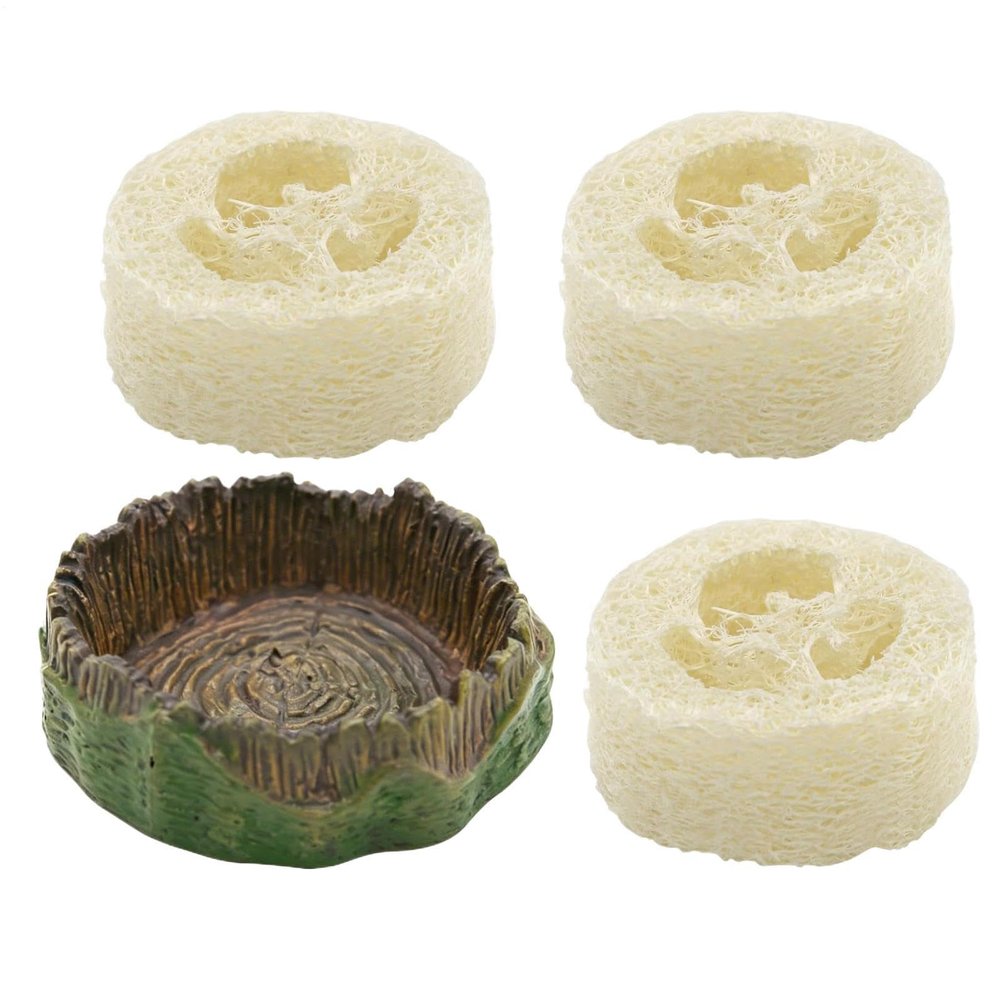 xowwyue Water Bowl for Roaches