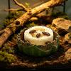 xowwyue Water Bowl for Roaches view 3