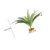 Artificial Terrarium Plant for Reptiles, Green Plant Decoration view 2