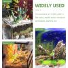 Artificial Terrarium Plant for Reptiles, Green Plant Decoration view 3