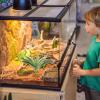 Artificial Terrarium Plant for Reptiles, Green Plant Decoration view 4
