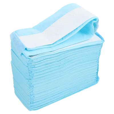 CLISPEED Disposable Dog Training Pads, 40 Count