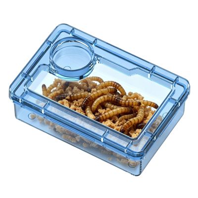 Reptile Feeding Bowl, Escape-Proof with Compartment