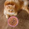 Slow Feeder Cat Bowl - Silicone Anti-Choke Design view 3