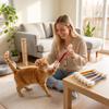 Striegro Catnip Toys, 6-Pack, Large Cotton Q-Tip Toys for Cats, 5.91 in view 3