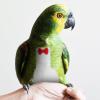JECOMPRIS Breathable Parrot Diaper view 4