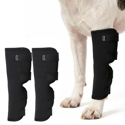 Yesmoyhe 2-Pack Dog Ankle Braces, Hock Wraps for Front and Hind Legs, Prevent Licking, Wound Care (XL)