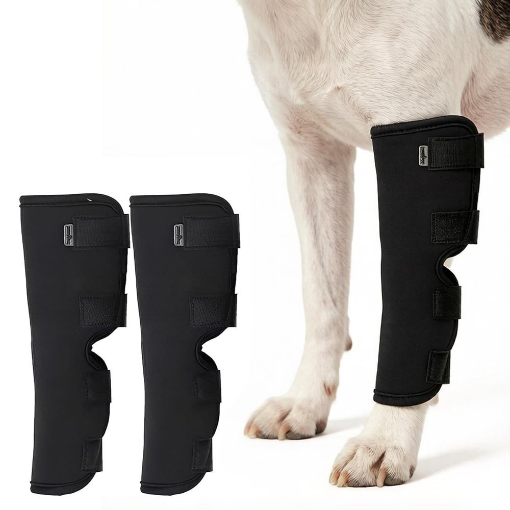Yesmoyhe 2-Pack Dog Ankle Braces, Hock Wraps for Front and Hind Legs, Prevent Licking, Wound Care (XL)
