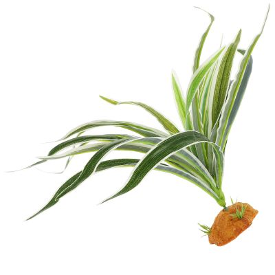 Veemoon Artificial Green Plant for Reptile Terrariums