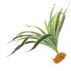 Veemoon Artificial Green Plant for Reptile Terrariums view 1