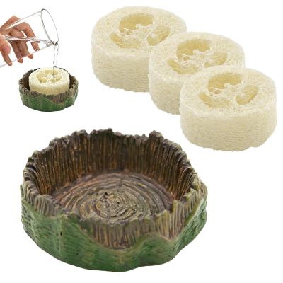 Generic Roach | Reptile Feeding and Drinking Bowl with Luffa, Water Basin for Terrarium