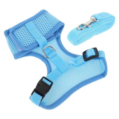 HAKIDZEL Durable Chicken Leash Set