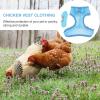 HAKIDZEL Durable Chicken Leash Set view 4