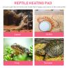 SWOOMEY 2-Pack Reptile Heating Pads view 3