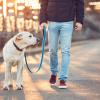 MUCKLILY Versatile ABS Sound Trainer for Pet Behavior, Blue, with Loud Sound Function view 4