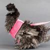 SWOOMEY Breathable Training Harness for Chickens with Adjustable Leash view 4