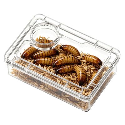 Generic Reptile Bowl 3.74 X 2.76 Inches Polystyrene Feeding Dish