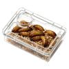 Generic Reptile Bowl 3.74 X 2.76 Inches Polystyrene Feeding Dish view 1
