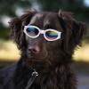 Foldable Dog Sunglasses with UV Protection, ABS, White, Summer Halloween Party view 4