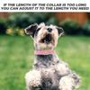 ABOOFAN Puppy Identification Collar Set view 3