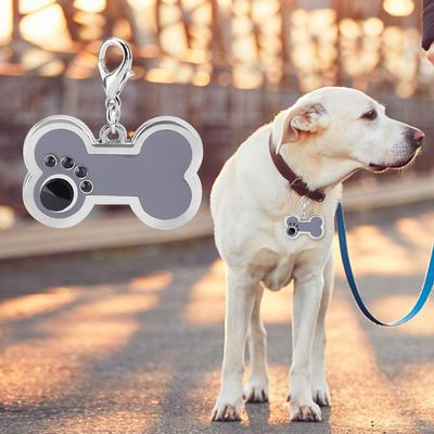 Alomejor Zinc Alloy Pet ID Tag for Dogs and Cats, Cute Bone-Shaped Pendant for Personalized Name Engraving, Blue (GRAY)