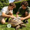 Generic Reptile Balm - Moisturizing Cream for Land Reptiles view 2