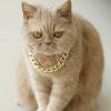 Xinsheinelry Gold Chain Collar for Dogs view 2