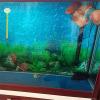 CRFFZ Glass Aquarium Thermometer view 3
