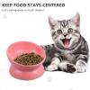 OUNONA Elevated Ceramic Pet Water Bowl view 3