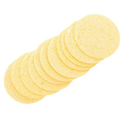 Happyyami 12-Pack Hermit Crab Sponge