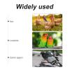 SOLUSTRE Natural Wood Chicken Toy, Ladder and Swing for Poultry view 3