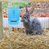 Artibetter Plastic Rabbit Feeder view 4